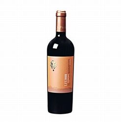 Viña Luis Felipe Edwards LFE 900 Malbec Colchagua Valley Chili