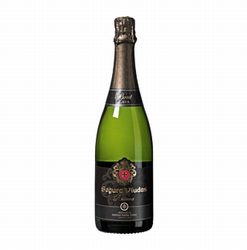 Seguras Viudas Brut Reserva Penedes Spanje